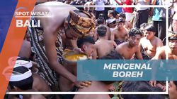 Mengaplikasikan Boreh Tradisional Bali untuk Mengobati Luka di Desa Tenganan Pegringsingan Bali  