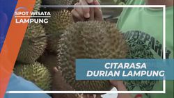 Menikmati Rasa Manis Durian Khas Lampung di Pinggir Jalan  