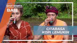Menikmati Citarasa Kopi Lemukih yang Lezat di Bali  