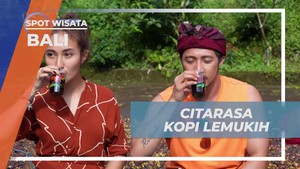 Menikmati Citarasa Kopi Lemukih yang Lezat di Bali  