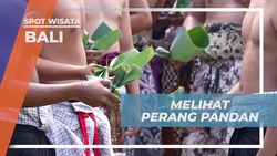 Menyaksikan Perang Pandan dalam Tradisi Usaba Sambah di Desa Tenganan Pegringsingan Bali  