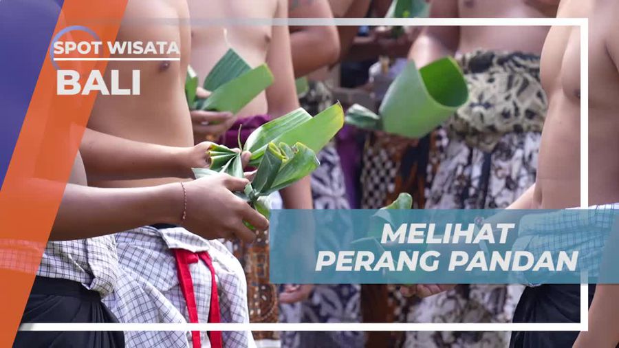 Menyaksikan Perang Pandan dalam Tradisi Usaba Sambah di Desa Tenganan Pegringsingan Bali  