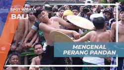 Mengikuti Ritual Perang Pandan sebagai Penghormatan Dewa Indra di Desa Tenganan Pegringsingan Bali  