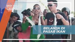 Berbelanja Ikan Segar dan Menawar Harga di Pasar Ikan Lampung  