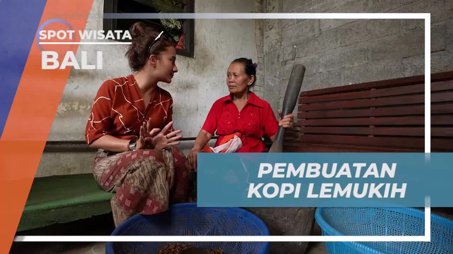 Mengolah Biji Kopi Bersama Warga Desa Lemukih di Bali  