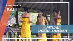 Menyaksikan Tradisi Usaba Sambah di Desa Tenganan Pegringsingan Bali  