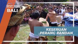 Menikmati Serunya Perang Pandan dan Menegangkan di Desa Tenganan Pegringsingan Bali  