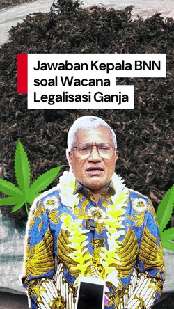 Video Kepala BNN: Pengguna Ganja di Indonesia Ada 1,4 Juta Orang