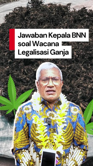 Video Kepala BNN: Pengguna Ganja di Indonesia Ada 1,4 Juta Orang