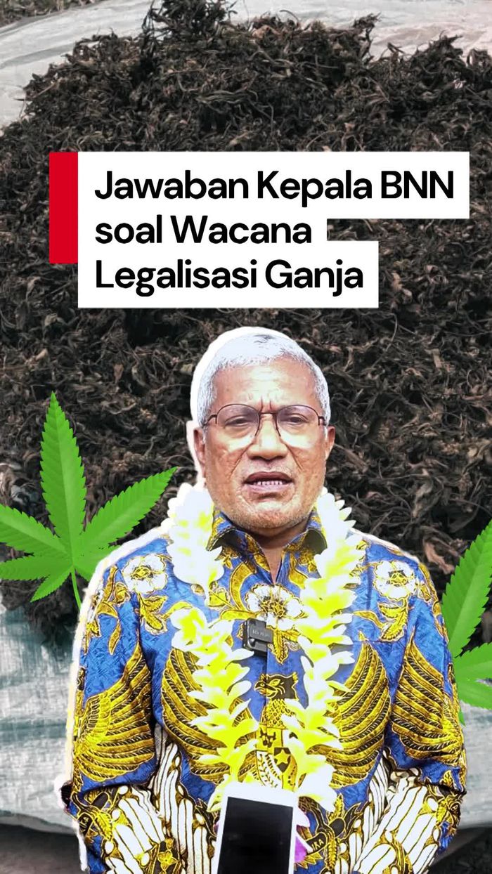 Video Kepala BNN: Pengguna Ganja di Indonesia Ada 1,4 Juta Orang