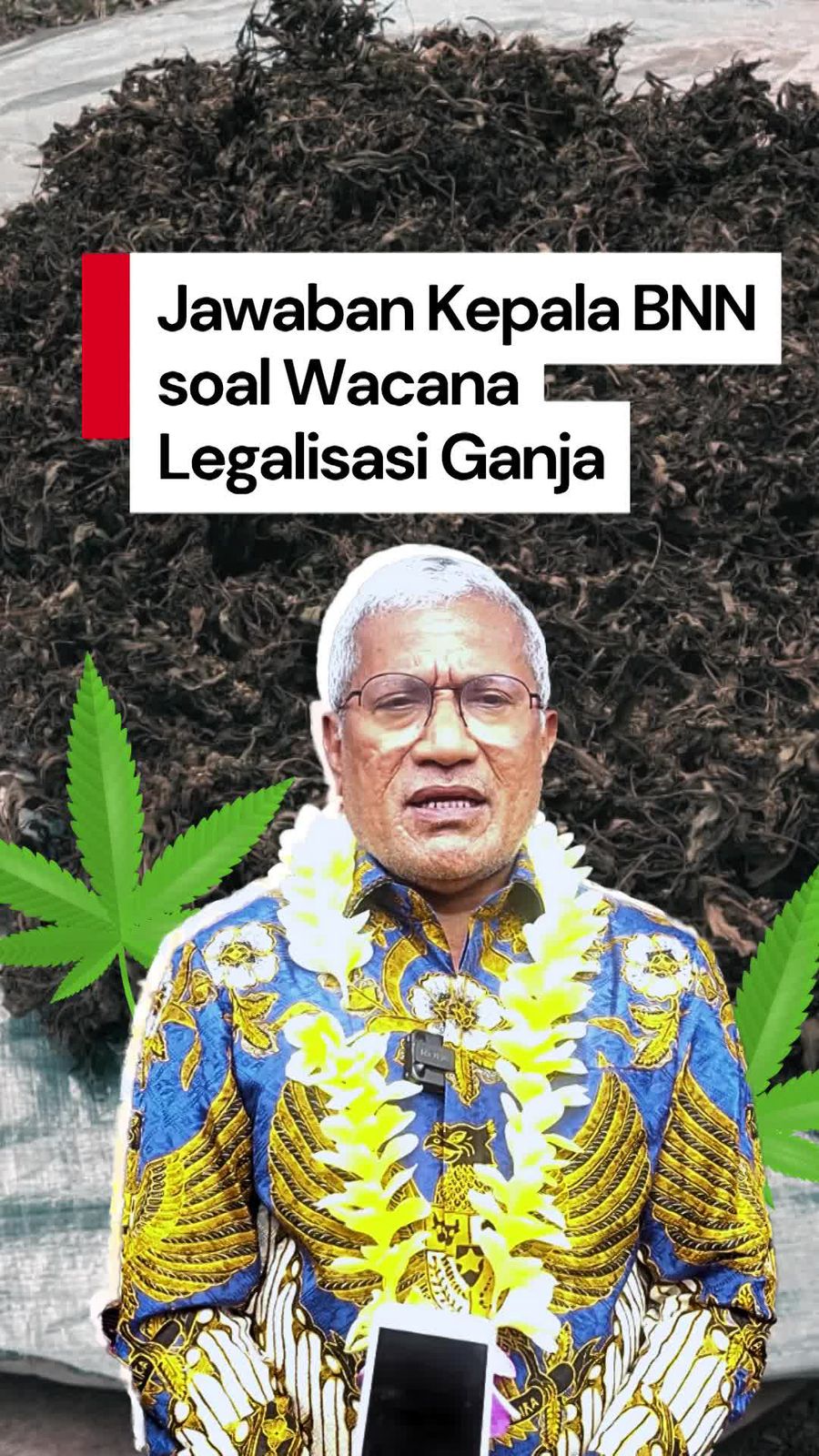 Video Kepala BNN: Pengguna Ganja di Indonesia Ada 1,4 Juta Orang