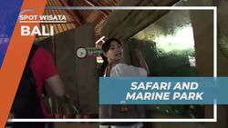 Mengunjungi Taman Safari & Marine Park Bali dan Memberi Makan Hewan-Hewan Unik 