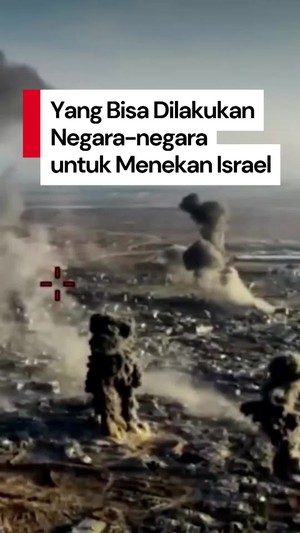 Video: Cara Tekan Israel untuk Bantu Palestina Menurut Pelapor Khusus PBB