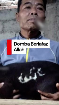 Video: Heboh Domba Berlafaz Allah di Temanggung