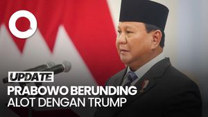 Video: Prabowo Berunding Alot dengan Trump Sebelum Tarif Impor Jadi 19%