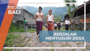 Belajar Memanen Cengkeh Bersama Warga di Kebun Desa Lemukih, Bali  