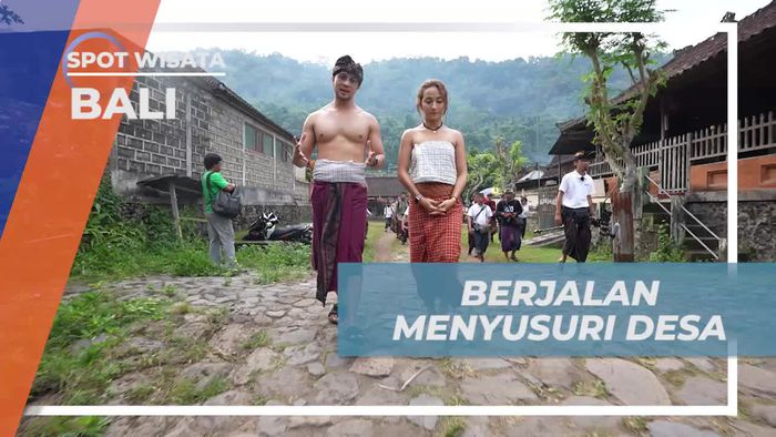 Belajar Memanen Cengkeh Bersama Warga di Kebun Desa Lemukih, Bali  