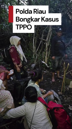 Video Polda Riau Bongkar Kasus TPPO, Korban Tidur di Hutan Beralas Tanah