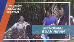 Mengenal Buah Nipah yang Hidup di Sepanjang Sungai Pute, Sulawesi Selatan
