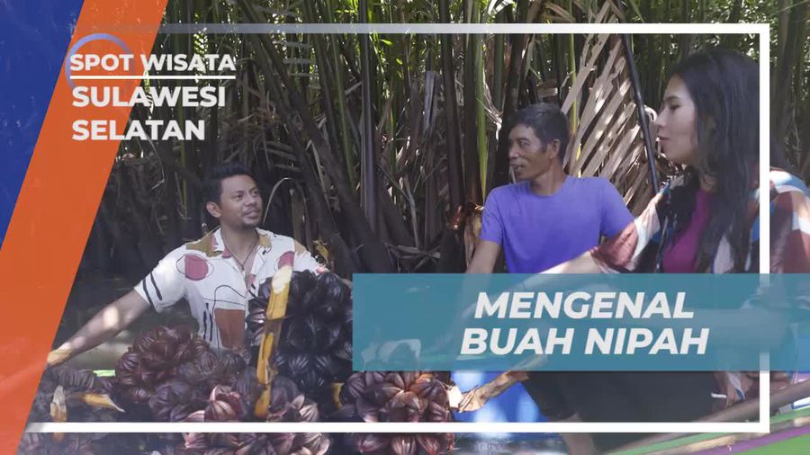 Mengenal Buah Nipah yang Hidup di Sepanjang Sungai Pute, Sulawesi Selatan