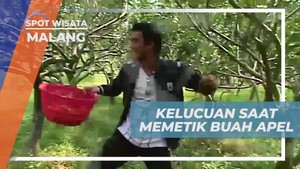 Menghadirkan Kelucuan Saat Memetik Apel dengan Ular Mainan Bersama Teman di Kebun Malang  