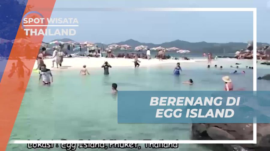 Berenang Bersama Ikan Hias di Pesisir Egg Island yang Menyenangkan dan Tak Terlupakan 