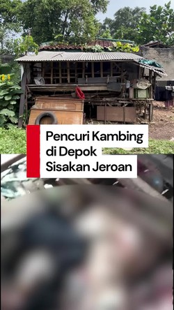 Video: Melihat Lokasi Jagal Kambing yang Sisakan Jeroan di Depok