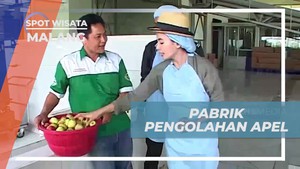 Mengunjungi Pabrik Pengolahan Apel di Malang untuk Melihat Proses Pembuatan Sari Apel Secara Langsung  