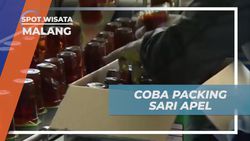 Berkompetisi dalam Lomba Packing Sari Apel yang Menyenangkan dan Dimenangkan Soraya di Malang 