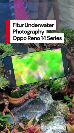 Video Canggih! Oppo Pamer Fitur Underwater Photography di Reno 14 Series
