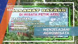 Menjelajahi Agrowisata Kusuma di Malang dan Memetik Apel Langsung dari Kebun  