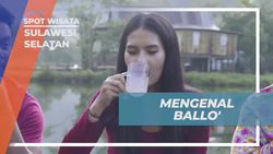 Mengenal Minuman Tradisional Ballo dari Pohon Nipah di Desa Berua Sulawesi Selatan  