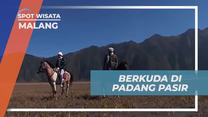 Mengendarai Kuda Melintasi Padang Pasir di Malang  