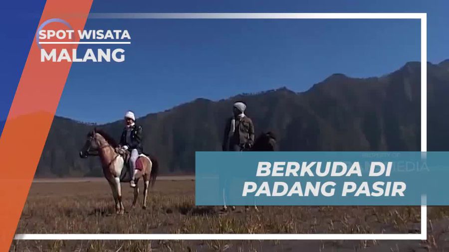 Mengendarai Kuda Melintasi Padang Pasir di Malang  