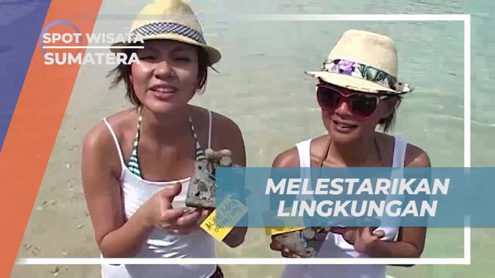 Melestarikan Lingkungan dengan Penanaman Terumbu Karang di Pantai Sumatera  