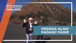 Menyaksikan Pesona Alam Padang Pasir Berbisik di Malang  