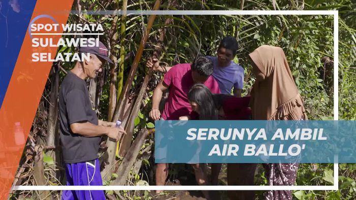 Belajar Mengambil Air Ballo dari Pohon Nipah di Desa Berua Sulawesi Selatan  