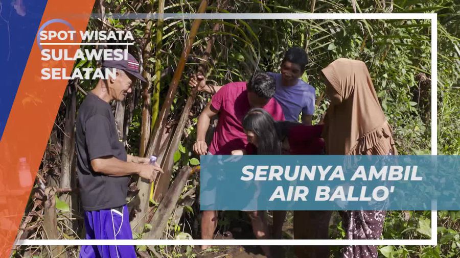 Belajar Mengambil Air Ballo dari Pohon Nipah di Desa Berua Sulawesi Selatan  