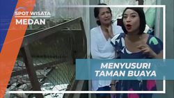 Menyusuri Taman Buaya dan Melihat Beragam Jenis Buaya di Medan  
