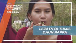 Merasakan Nikmatnya Tumis Daun Pappa dari Desa Berua Sulawesi Selatan  