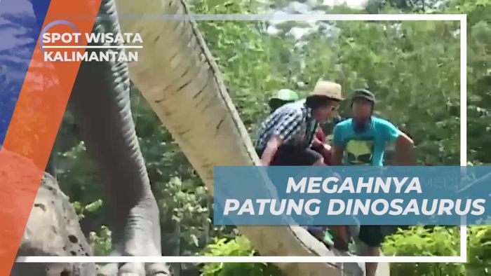 Naik Patung Dinosaurus dan Menikmati Hiburan Edukatif di Kebun Raya Kalimantan  
