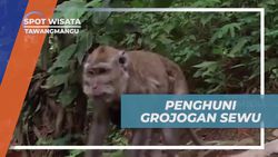 Mengunjungi Air Terjun Grojogan Sewu dan Bersiap Menghadapi Monyet Liar di Tawangmangu 