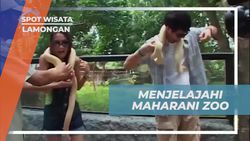 Mengunjungi Maharani Zoo dan Menyelami Ragam Satwa di Lamongan  