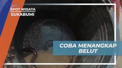 Menantang Diri Menangkap Belut di Sawah Sukabumi dan Menghadapi Tantangan Hewan Licin  