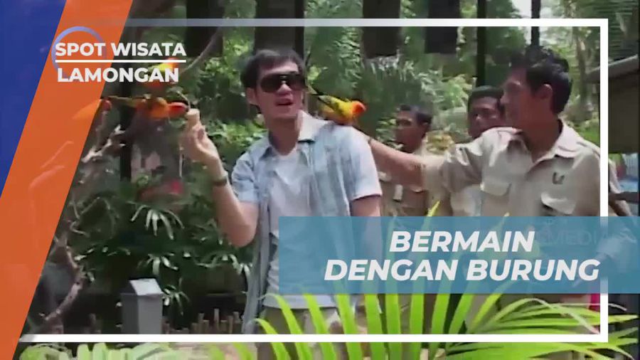 Bersosialisasi dan Memberi Makan Burung di Kandang Burung Besar Maharani Zoo, Lamongan  