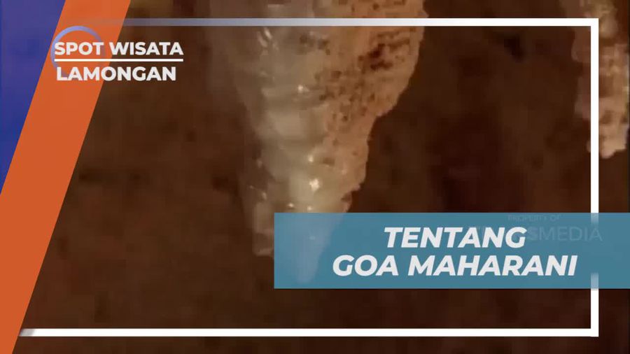 Mendalami Sejarah dan Mengamati Penampakan Gaib Goa Maharani di Lamongan  