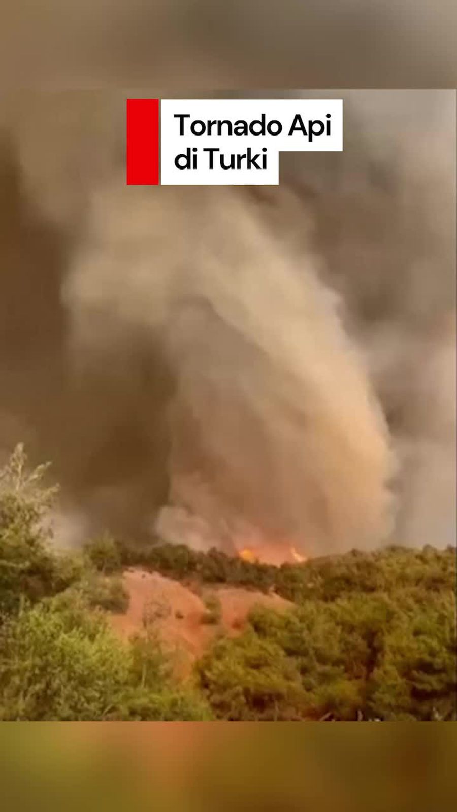 Video: Mencekam! Kemunculan Tornado Api di Tengah Kebakaran Hutan Turki