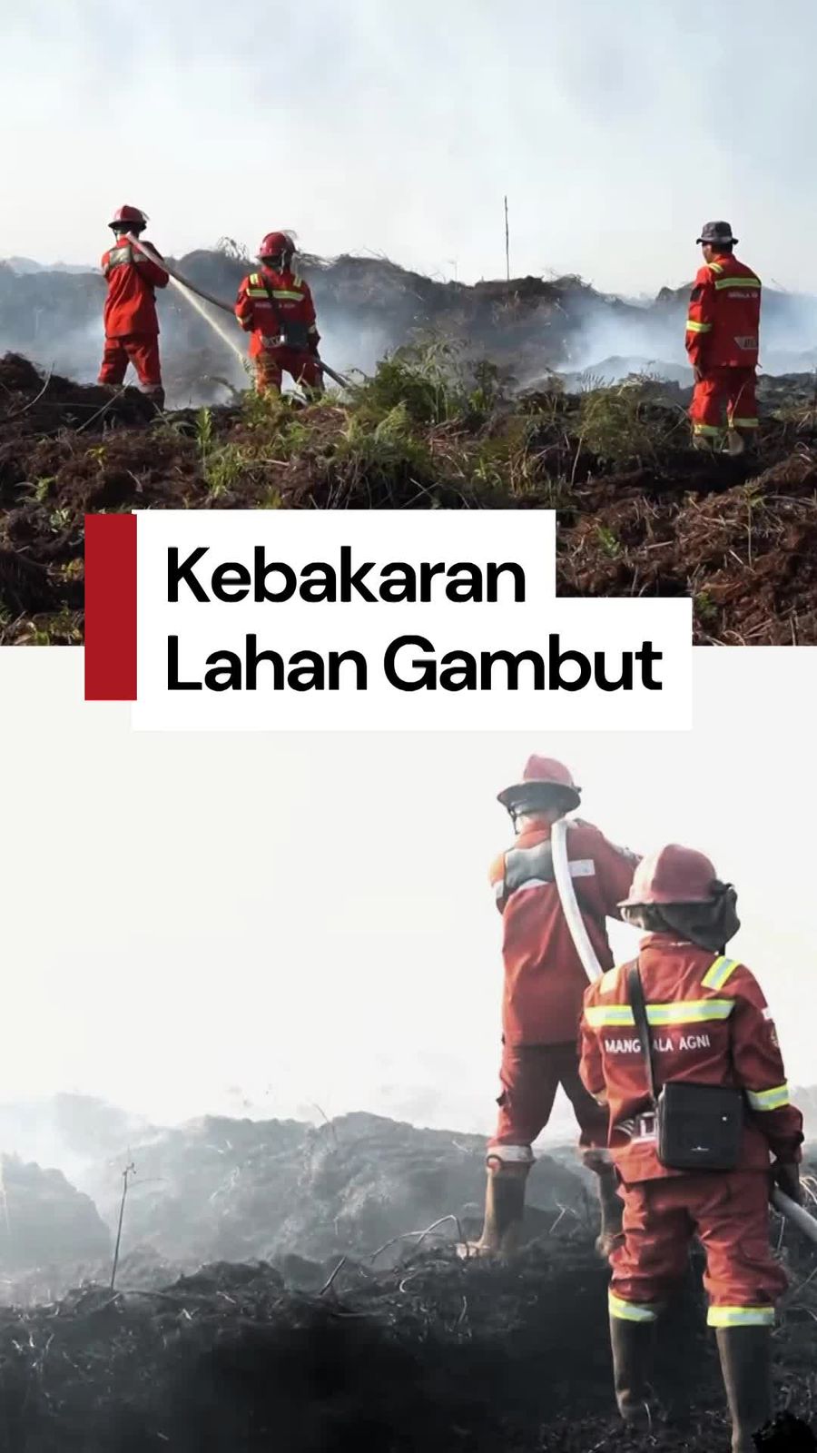  Video: Kondisi Kebakaran Lahan Gambut di Muaro Jambi