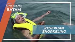 Melakukan Snorkeling di Pulau Putri dan Menikmati Keindahan Bawah Laut di Batam 
