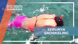 Menyelami Keindahan Bawah Laut Pantai Kencana dan Melakukan Snorkeling di Sumbawa  